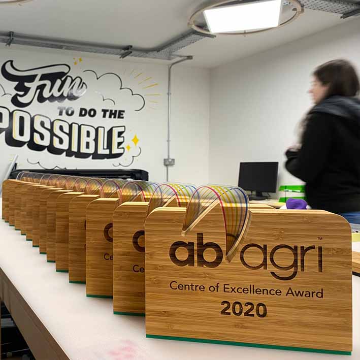 Bespoke sustainable awards and trophies